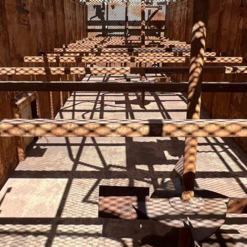 WhatsApp Image 2026-03-12 at 15.46.22